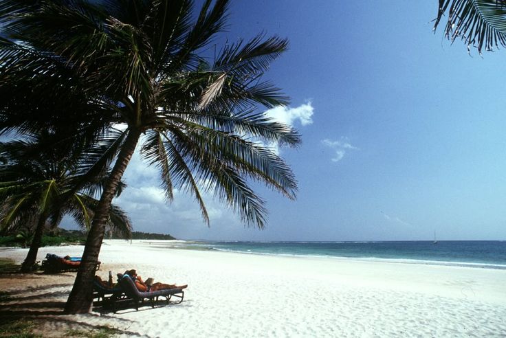 Coastal Explorer Experience